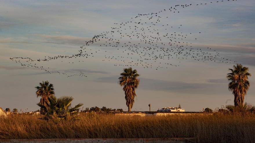 Sagunt prepara un &quot;verano de naturaleza&quot;