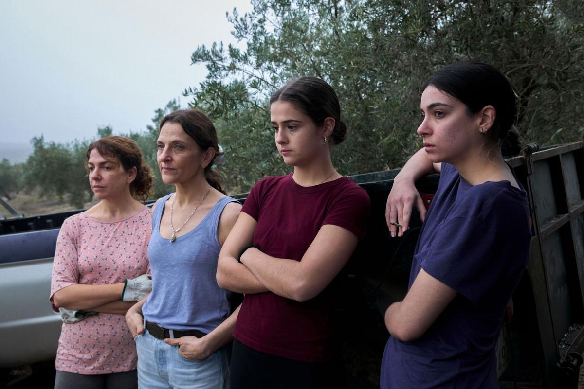 20/05/2025 Belén Funes dirige 'Los Tortuga': "La población migrante ha aprendido a reivindicarse más como parte de nuestra cultura". 'Los Tortuga', película dirigida por Belén Funes ('La hija de un ladrón') ganadora de tres premios en la pasada edición del Festival de Cine de Málaga, incluyendo mejor largometraje y mejor guión, llega este viernes 23 de mayo a los cines. Rodada entre Jaén y Barcelona, el filme aborda temas de gran calado social como los desahucios, el duelo o la inmigración. Un fenómeno, este último, que ha marcado y sigue marcando la realidad de muchas zonas en Catalunya, tal y como recuerda la cineasta. AUTONOMÍAS CULTURA OBERON MEDIA