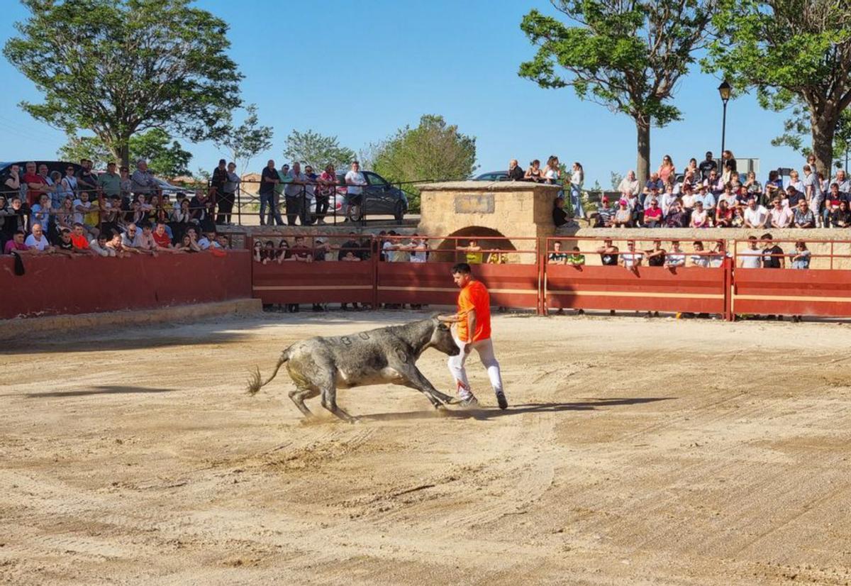 Los festejos taurinos congregaron numerosos aficionados. |