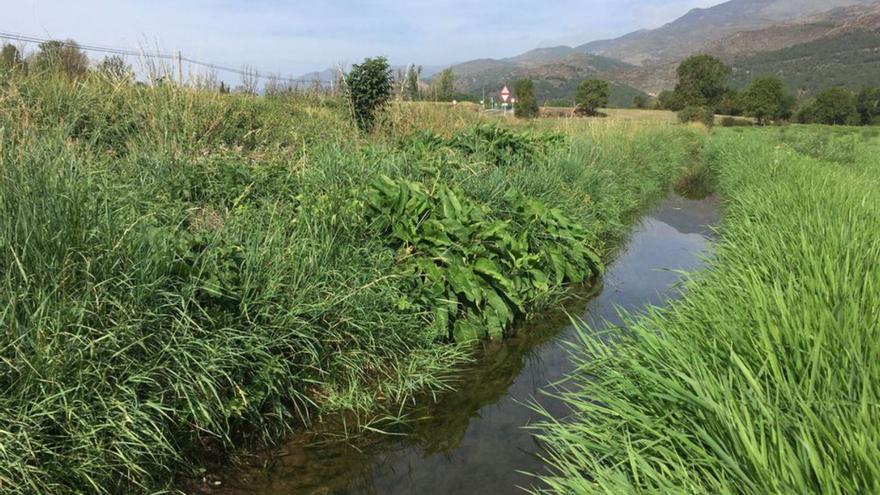 Un rec de distribució d’aigua de la Cerdanya | ARXIU/MIQUEL SPA