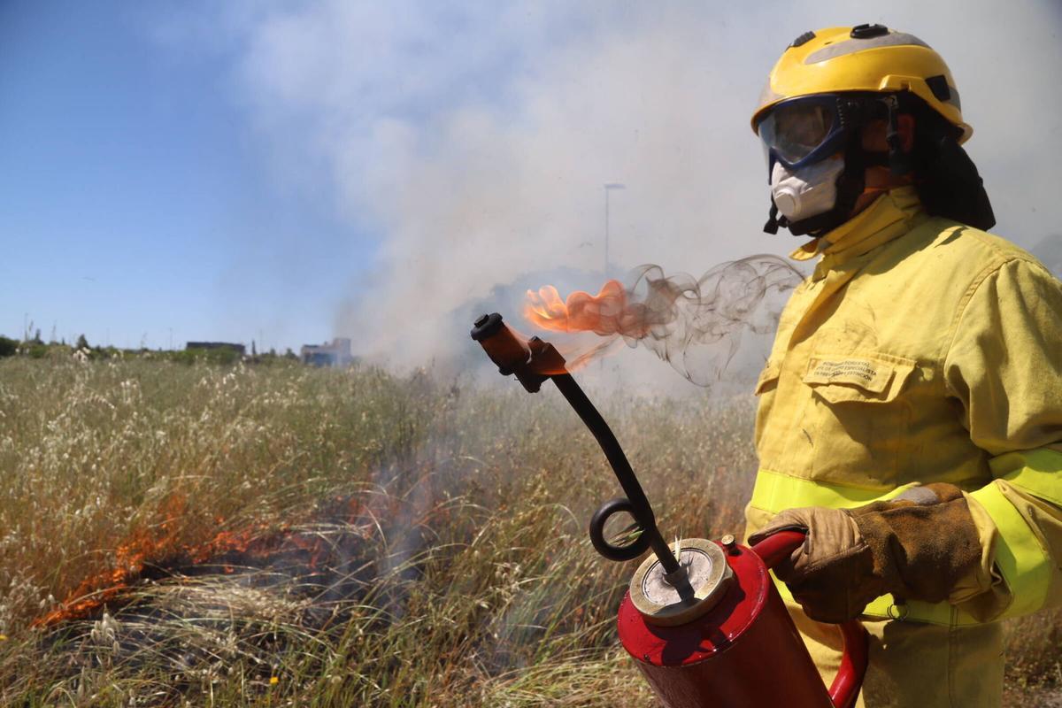 Fuego controlado en Las Quemadas y Rabanales