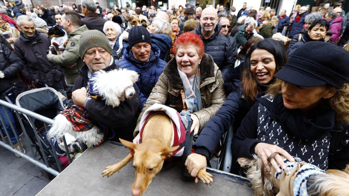 Los zaragozanos acuden a la parroquia de San Antón para la tradicional bendición de sus animales