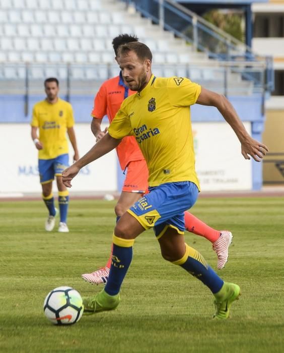 PARTIDILLO UDLP- UDLP C