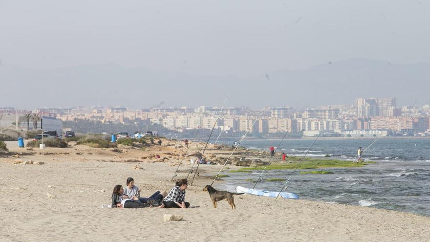 El PSOE denuncia que la ineficacia de Barcala deja sin servicios la playa de mascotas de Agua Amarga