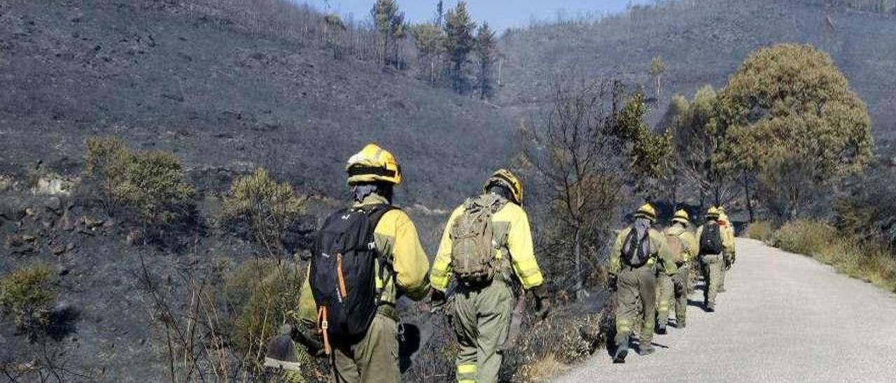 Brigadistas en el incendio de Mondariz de principios de mes. // Alba Villar