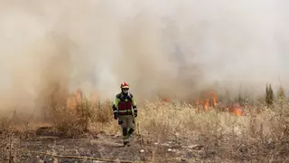 Nuevo fuego en Cáceres: arde el Cerro de los Pinos