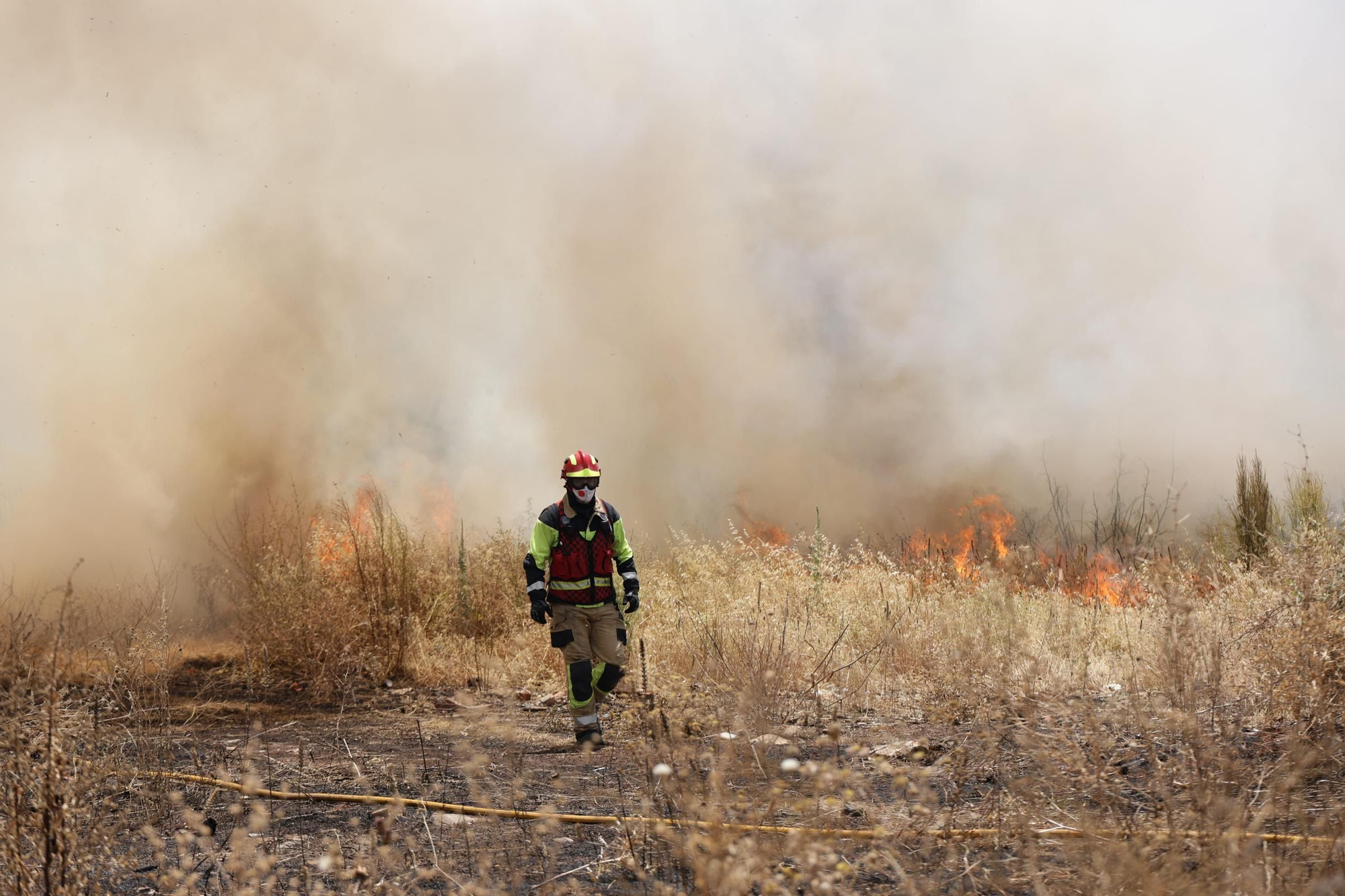 El Incendio en el Cerro de los Pinos, en imágenes