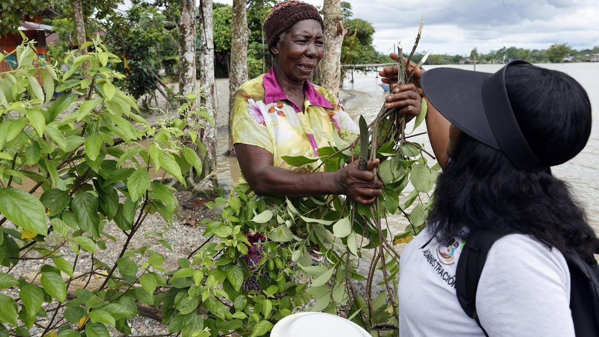 Cooperante en Colombia en un servicio para mujeres en parto.