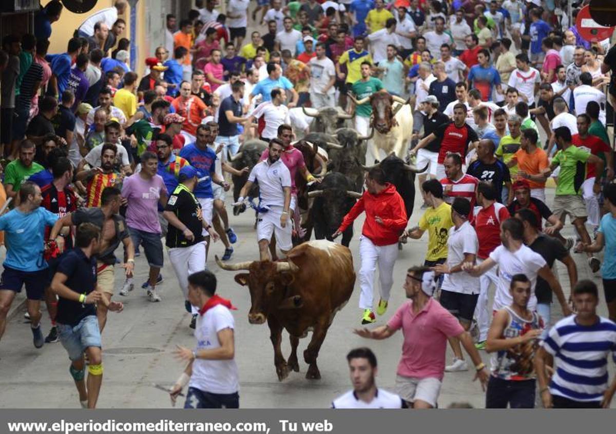 GALERÍA DE FOTOS -- Encierro de vértigo en la Vall d’Uixó GALERÍA DE FOTOS -- Encierro de vértigo en la Vall d’Uixó