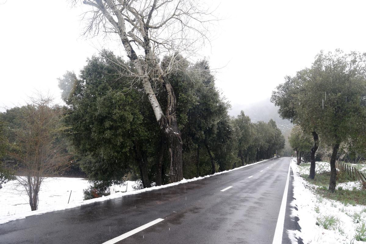 La nieve llega a la sierra de Tramuntana en Mallorca