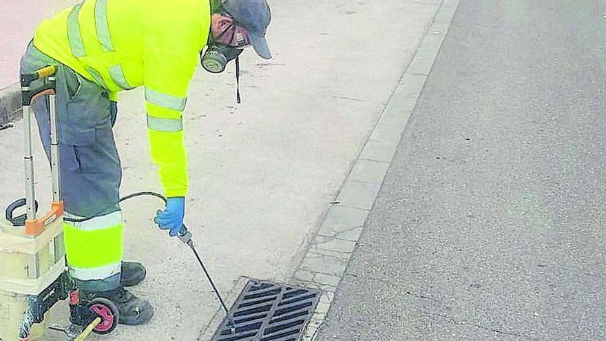 Mosquitos todo el año en Castellón