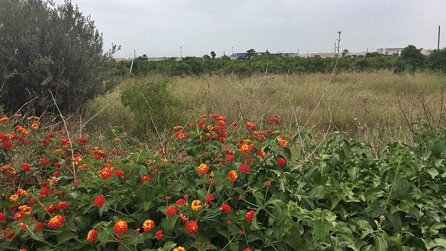 Terrenos donde se construirá el nuevo sector industrial. | L.SENA