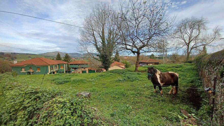 De Tuernes el Pequeño a Tuernes el Grande, un paseo por la naturaleza y la arquitectura de San Cucao