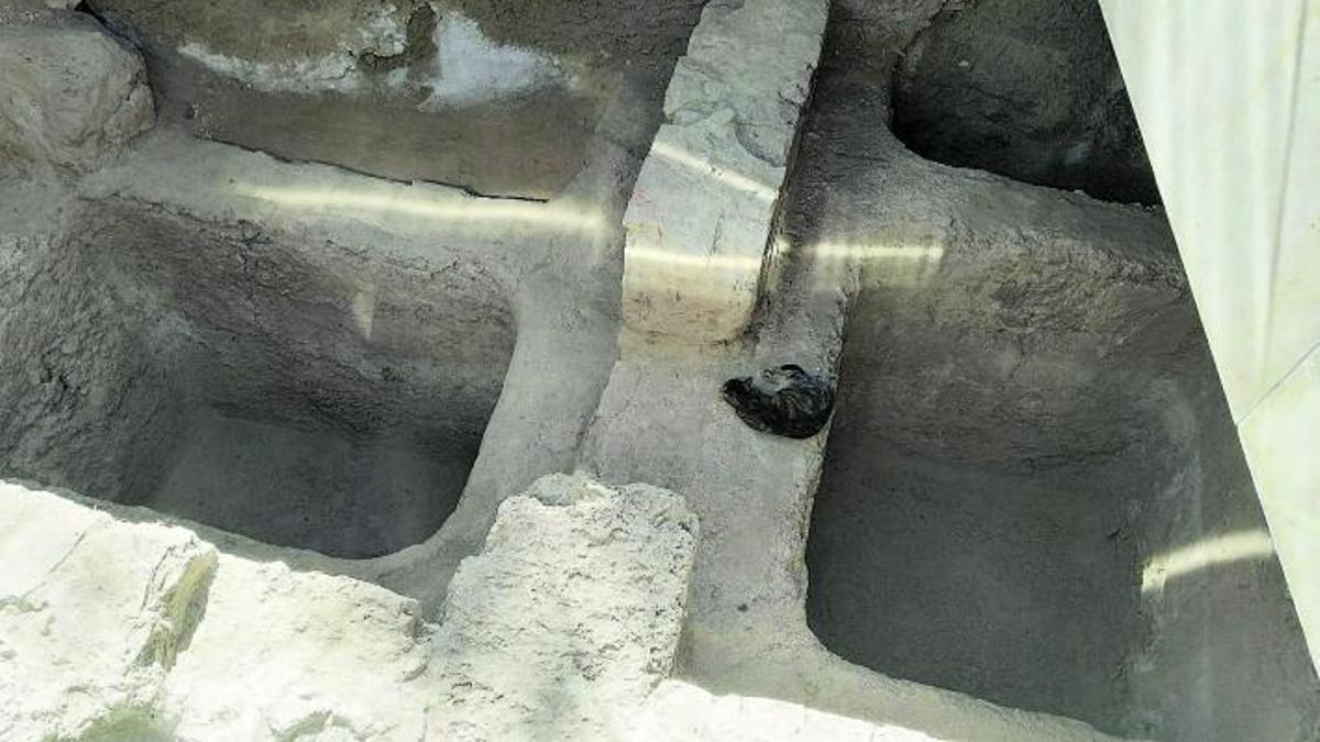 El gato, en plena siesta en las centenarias piletas de gárum, bajo la pirámide de calle Alcazabilla.