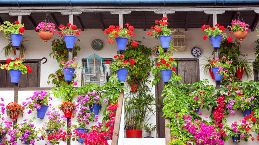 Cinco lugares de España para disfrutar de la primavera