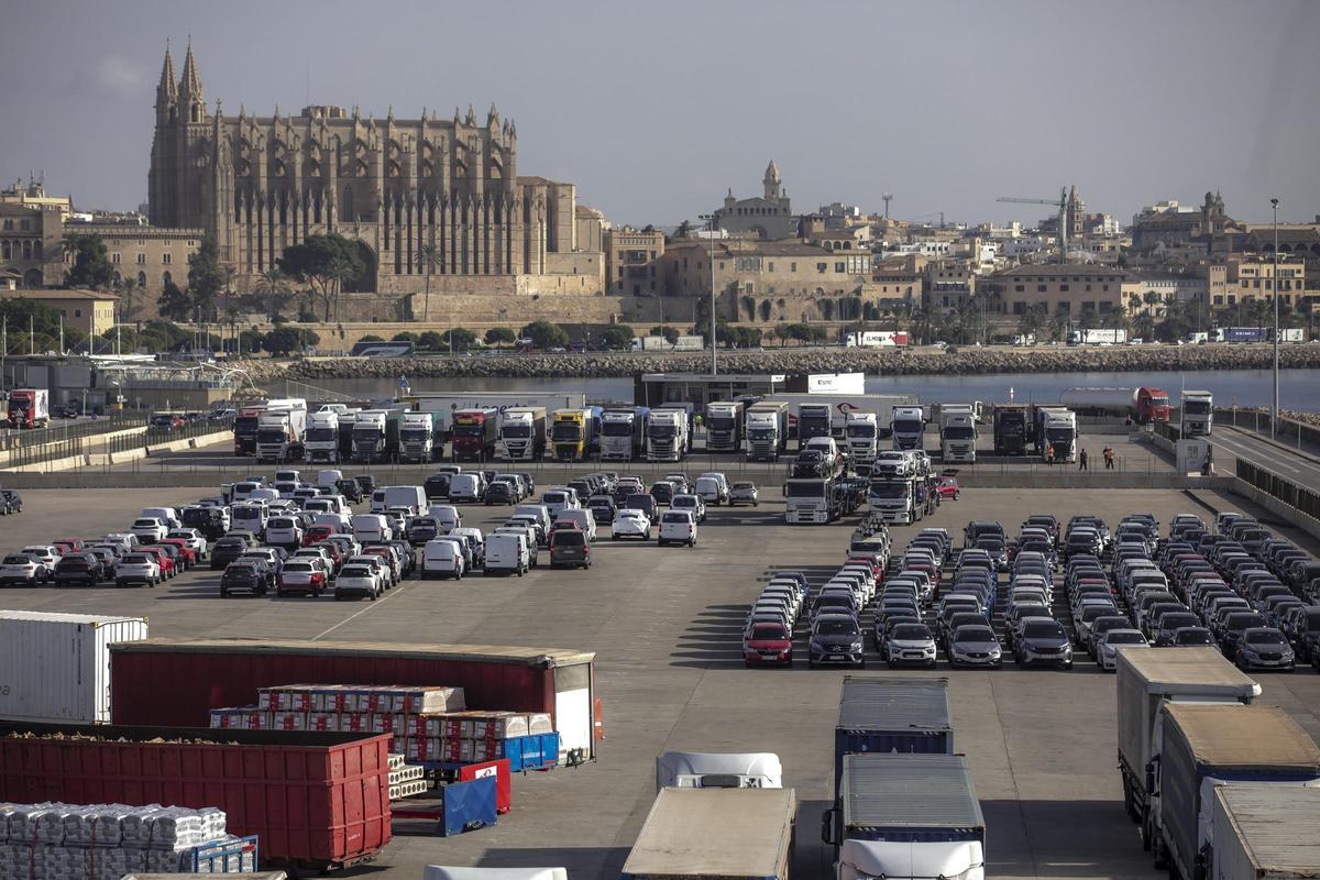 Baleval pide diálogo al Consell para consensuar la futura ley que regulará la entrada de coches a la isla.