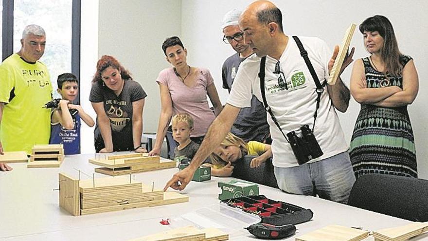 Combaten las plagas con el murciélago como aliado