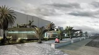 El último legado de Toni Gallego: la renuncia a la zona deportiva del paseo de Playa de San Juan