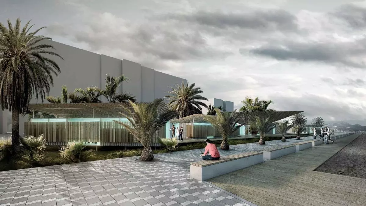 El último legado de Toni Gallego: la renuncia a la zona deportiva del paseo de Playa de San Juan