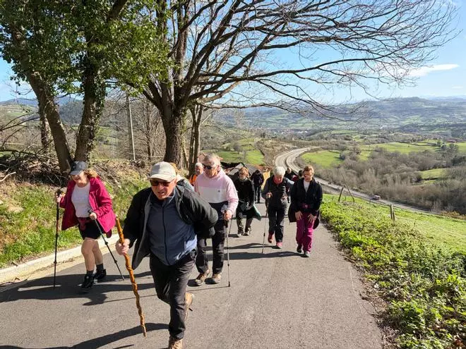 La ruta saludable por el Camino Piimitivo de Grado, en imágenes