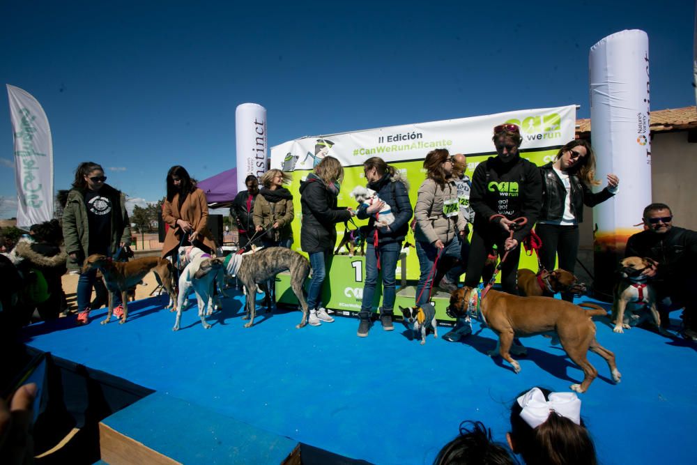 Can We Run: Gran carrera de perros para la concienciación animal