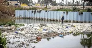 El Segura acumula en la Vega Baja más de 6.000 m³ de residuos flotantes al año