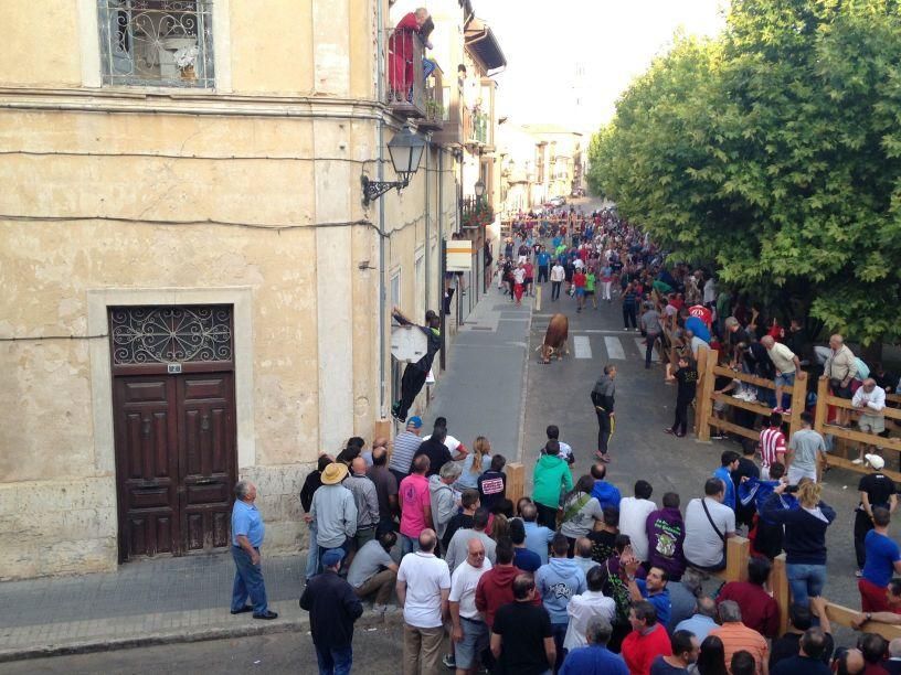 Fiestas Toro: Encierro urbano y suelta de vaquilla