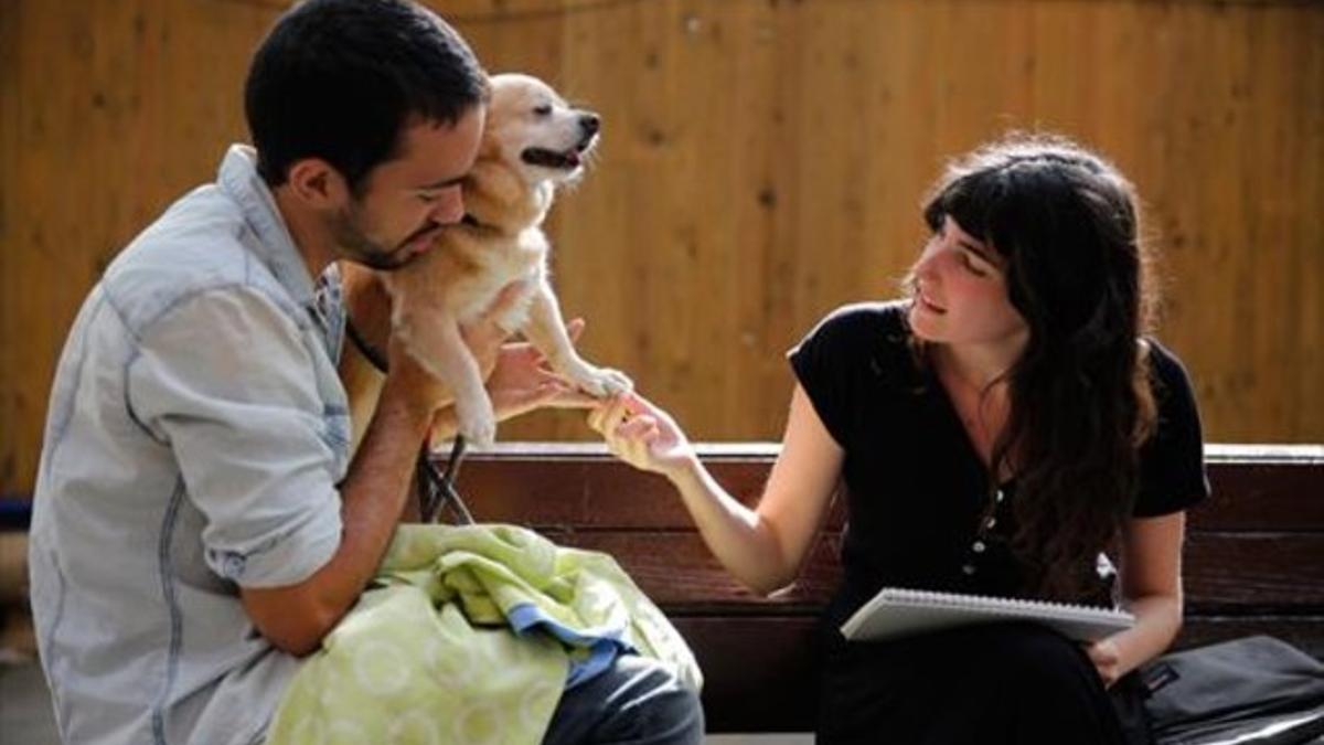 «Lo bonito es capturar la mirada que tiene el perro»_MEDIA_1