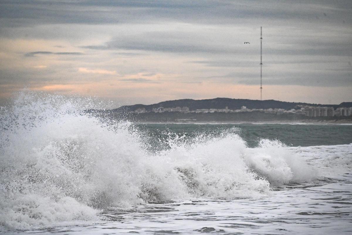 Un mar embravecido por el temporal Harry engulle playas en Elche y amenaza a las casas de primera línea de El PInet