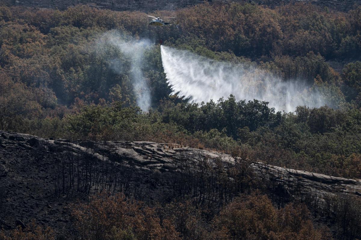 GARGANTILLA. ZONA AFECTADA INCENDIO FORESTAL JARILLA