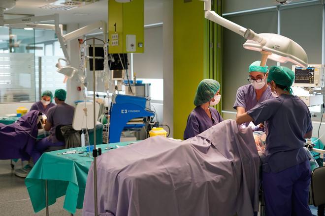 Participantes en un curso de Cirugía cervical en quirófano experimental llevado a cabo, esta semana, en el CTF del Chuac.