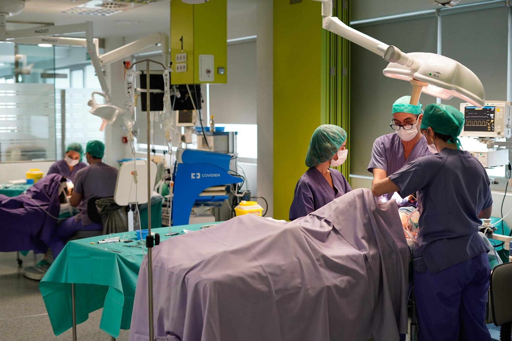 Quince aniversario de una academia médica de élite en A Coruña