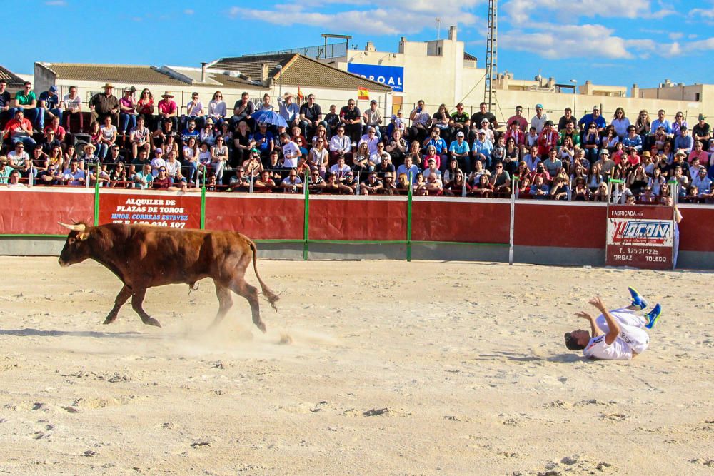 El concurso de recortadores vuelve tras 30 años de ausencia