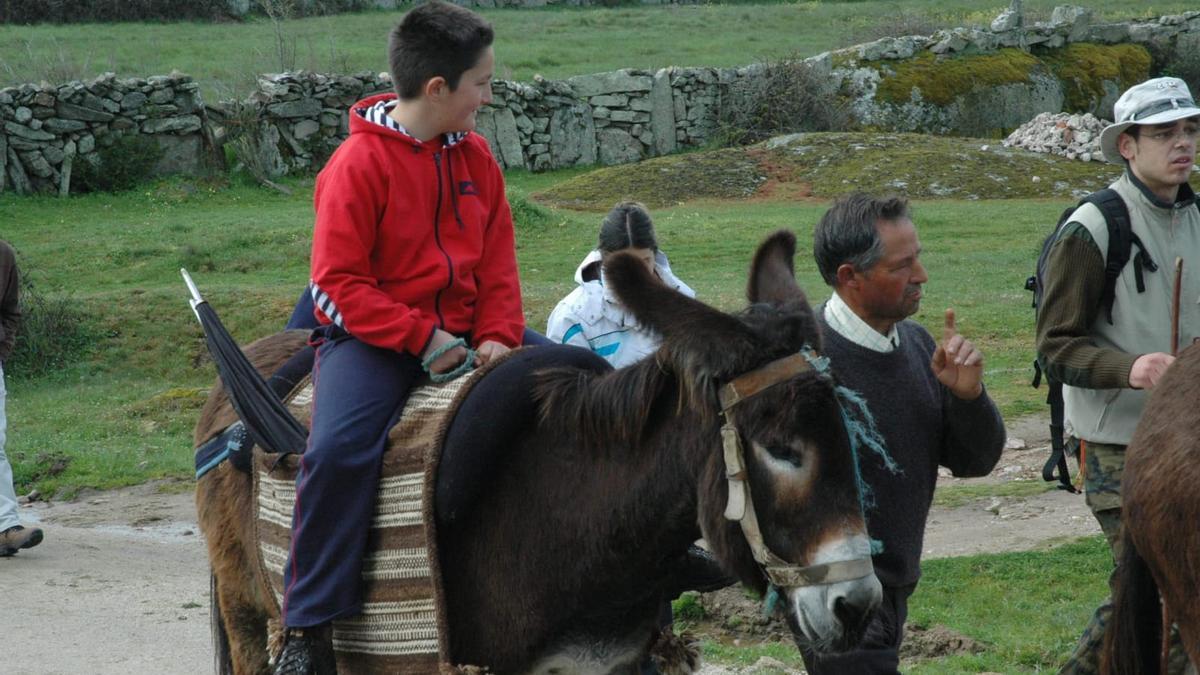 Paseo en burro zamorano-leonés.