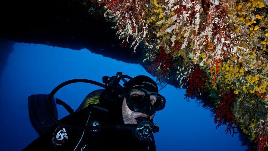 Un científico analiza una población de corales del Mediterráneo afectada por el calor extremo.