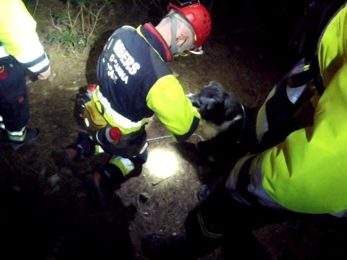 Complicado rescate con perros de dos excursionistas en Ibiza