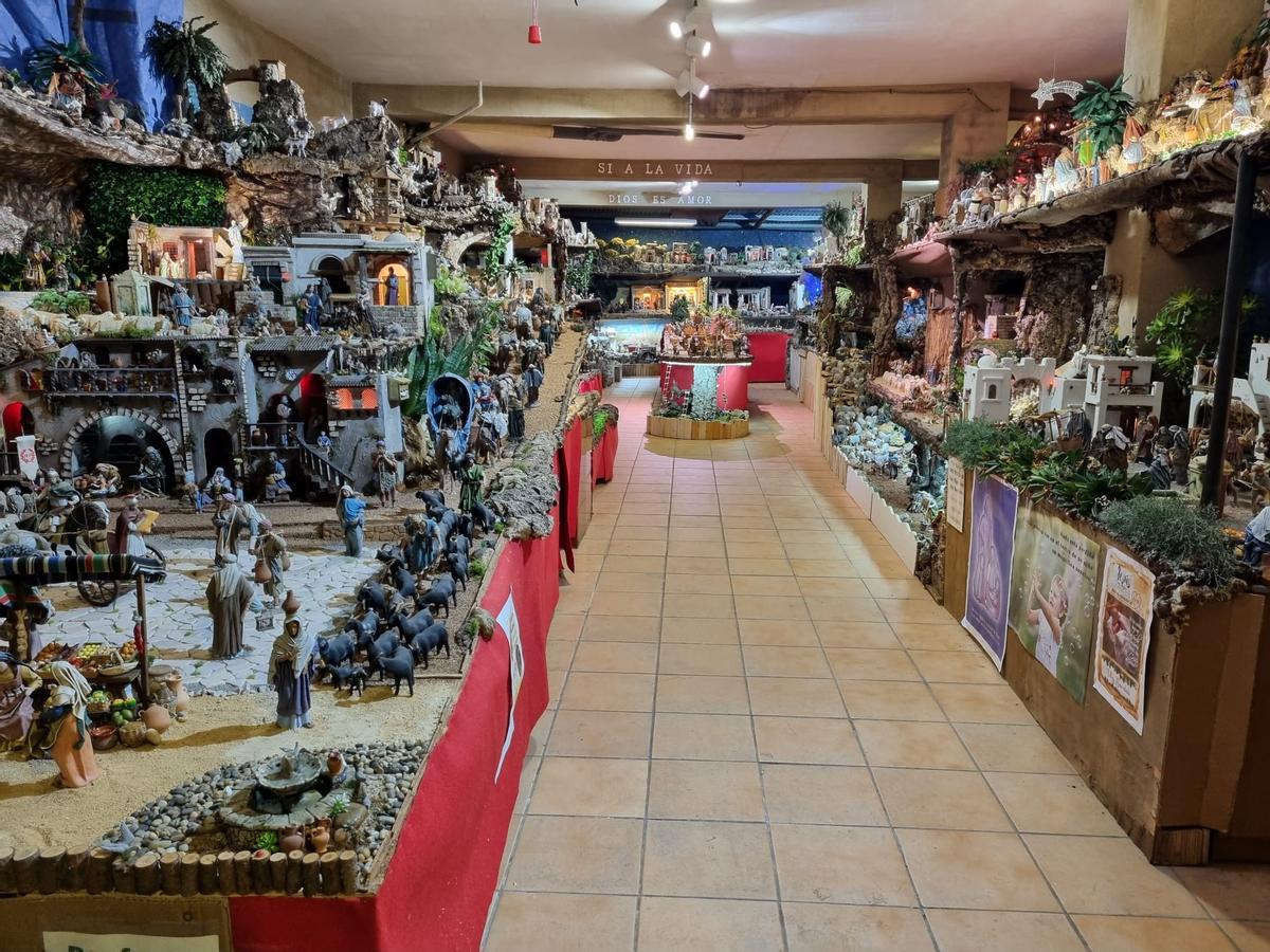 Belén de Carlos Asensi.