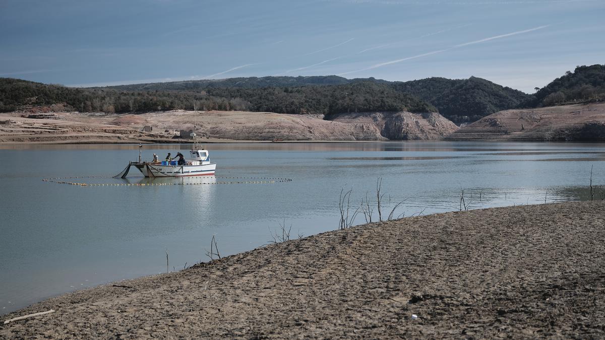 Empieza la retirada de peces del pantano de Sau