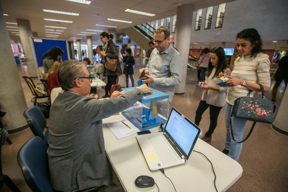 Elecciones sindicales en la UMH