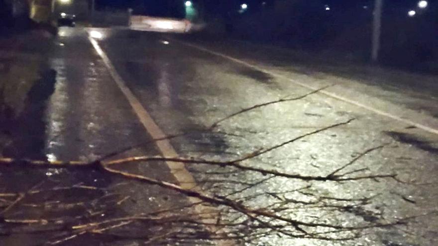 Cerrados los Paseos de la Mota y el Prado de las Pavas por el viento que ha ocasionado pequeños percances