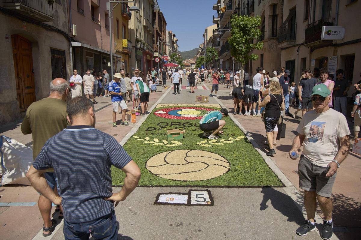 Les catifes d'Arbúcies en imatges