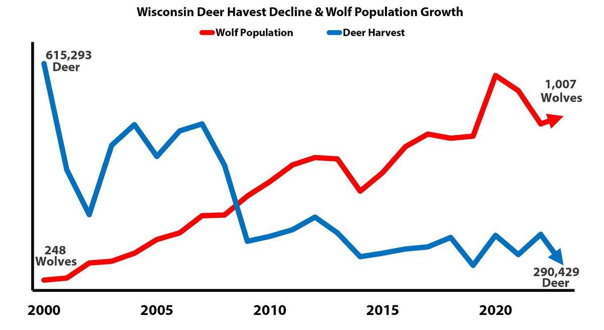 En rojo, población de lobo en Wisconsin; en azul, población de ciervo