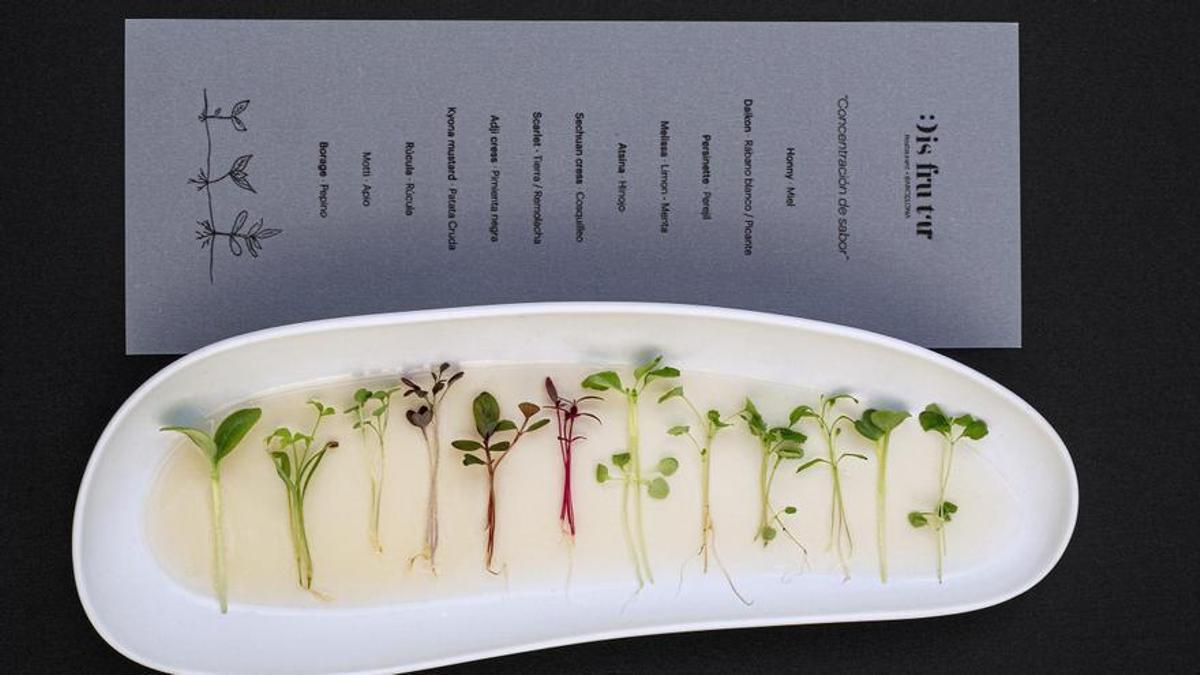El plato 'Concentración de Sabor', de Disfrutar.
