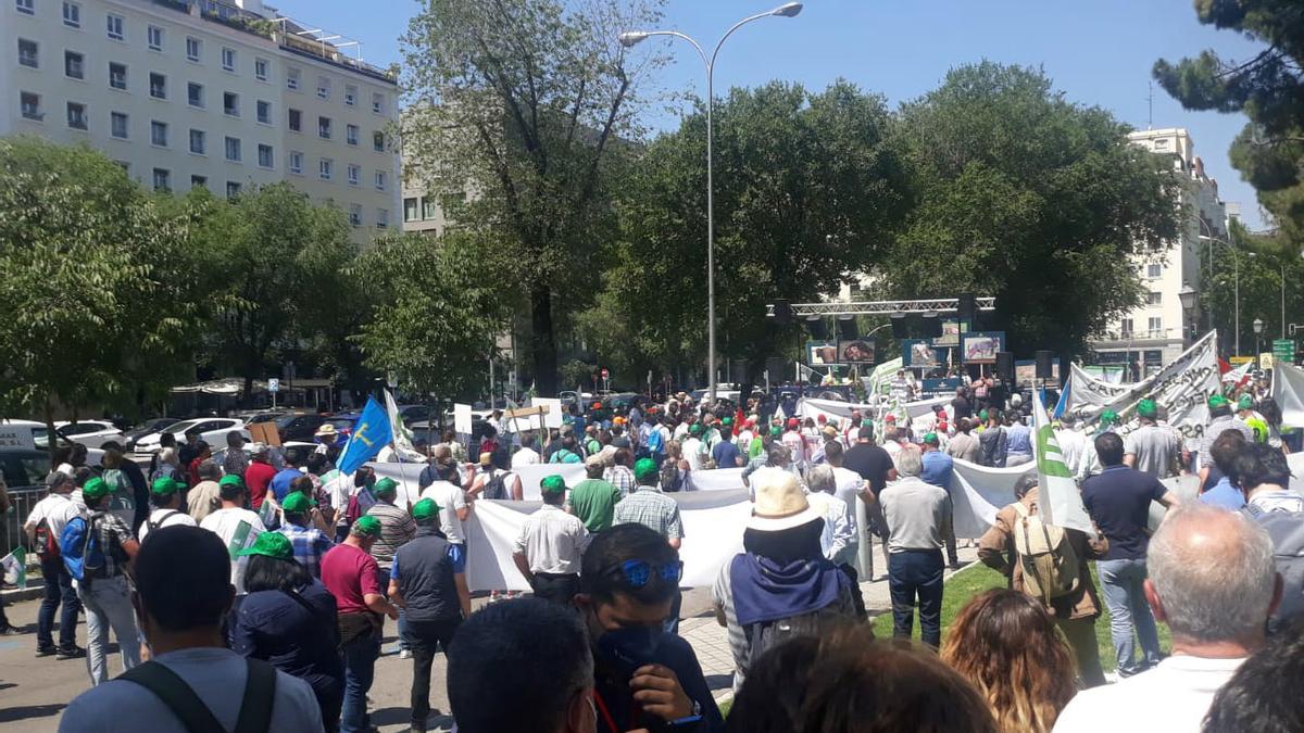 Manifestación en Madrid contra la protección total del lobo