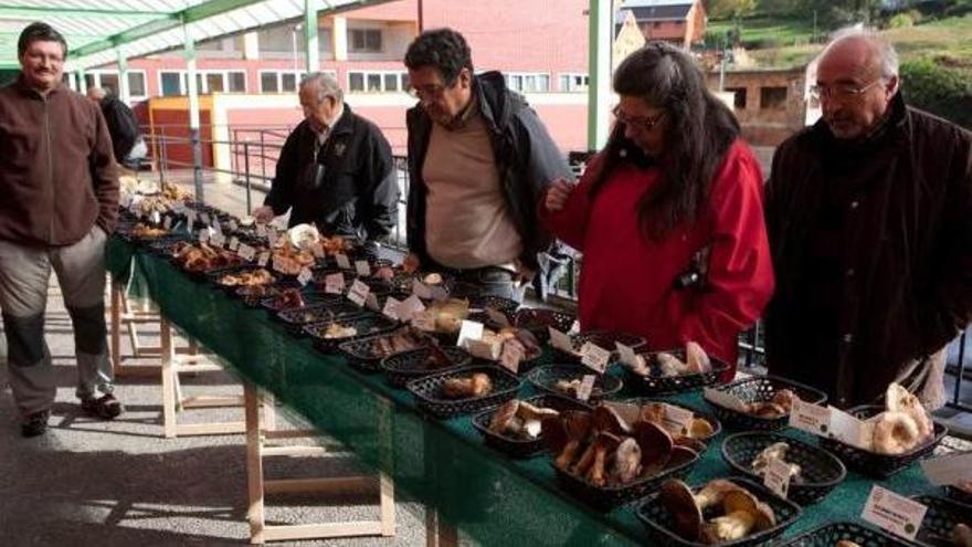 La exposición organizada en el IES Cuenca del Nalón.