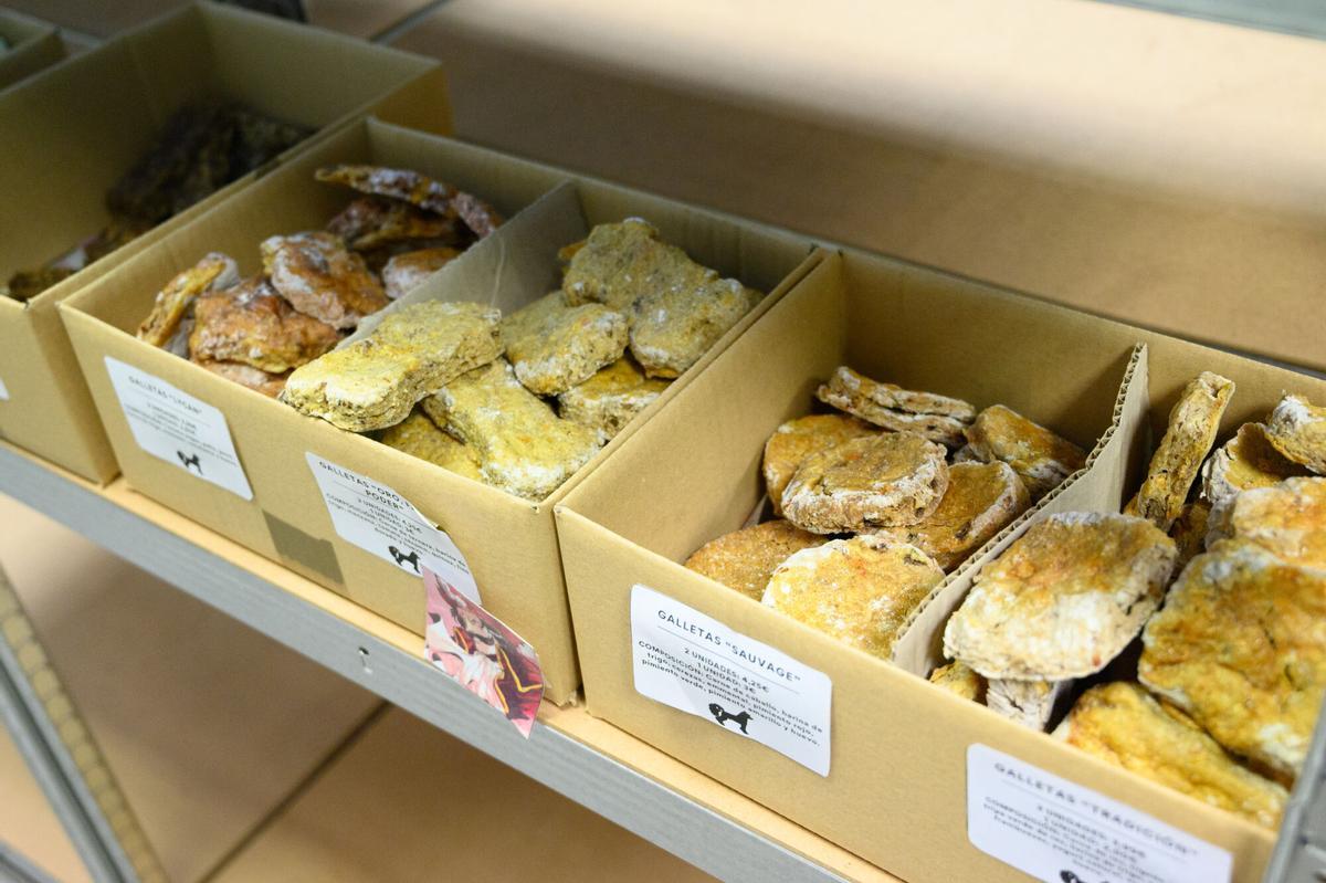 En imágenes | Así es la primera pastelería para mascotas en Aragón