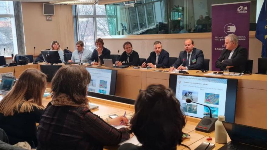 Baleares pide a Bruselas que proteja la posidonia