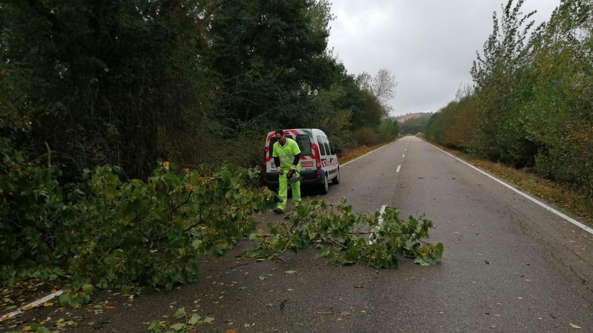 Trabajos de mantenimiento en la carretera de Ayoó de Vidriales.
