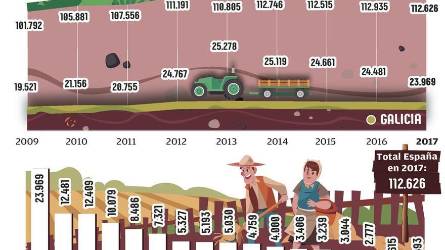 Galicia lidera los cultivos de huerta familiar con el 20% de la producción de toda España