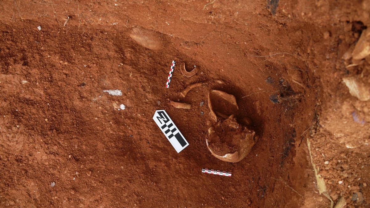 Restos humanos en la excavación de fosas en Ibiza